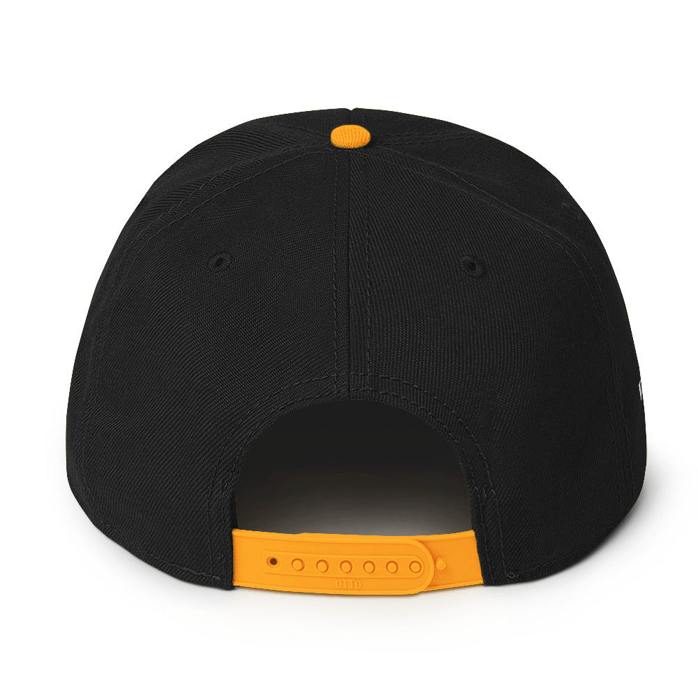 Snapback Temach Hat