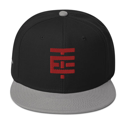 Snapback Temach Hat