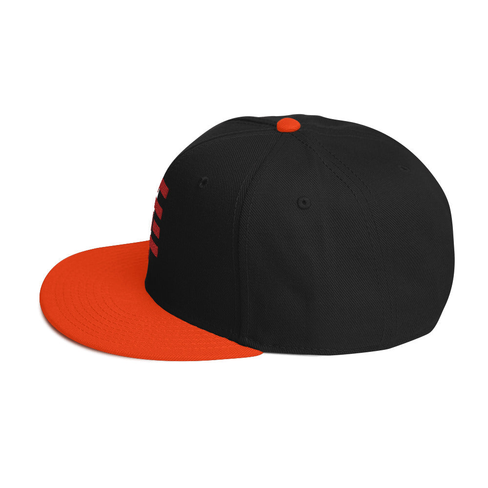 Snapback Temach Hat