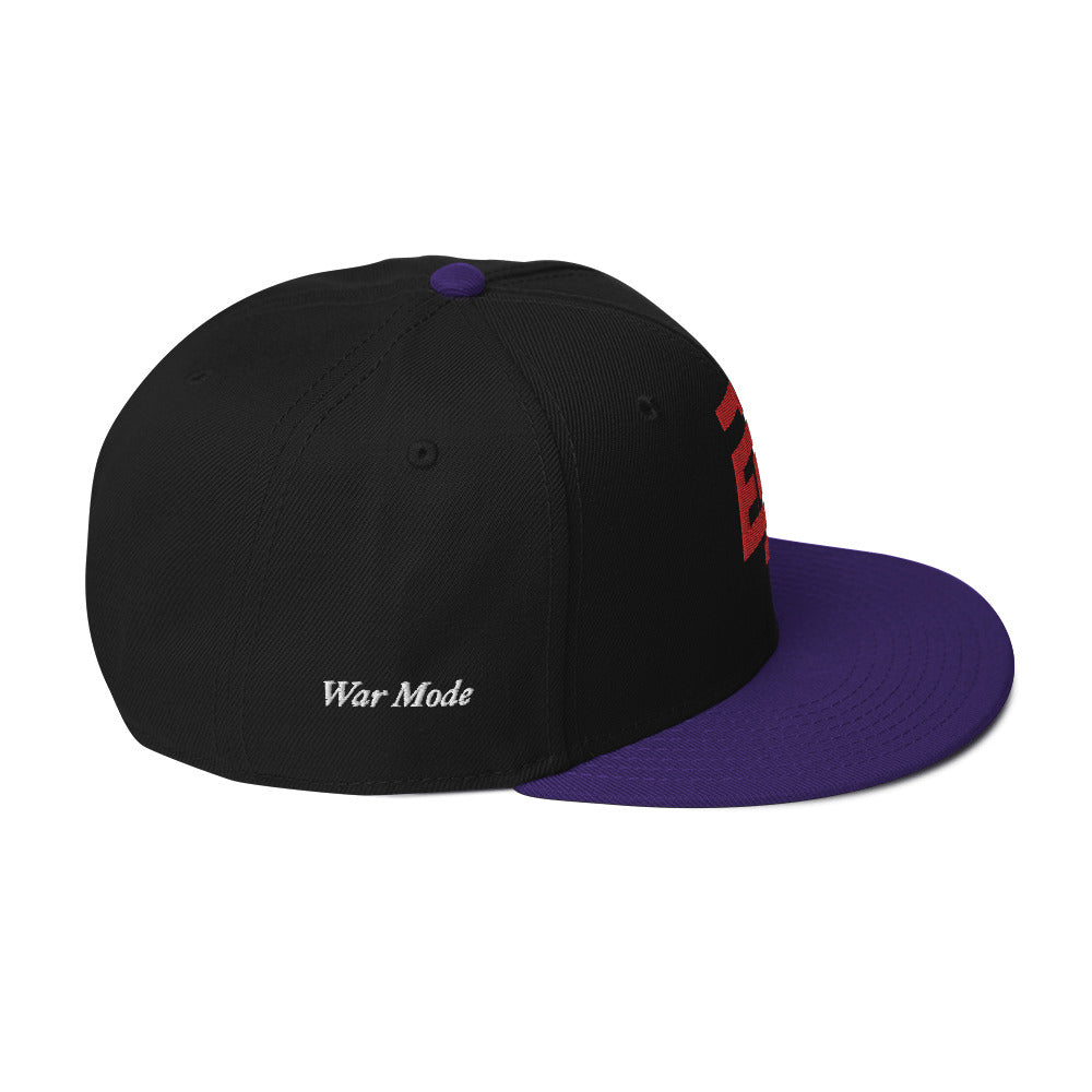 Snapback Temach Hat