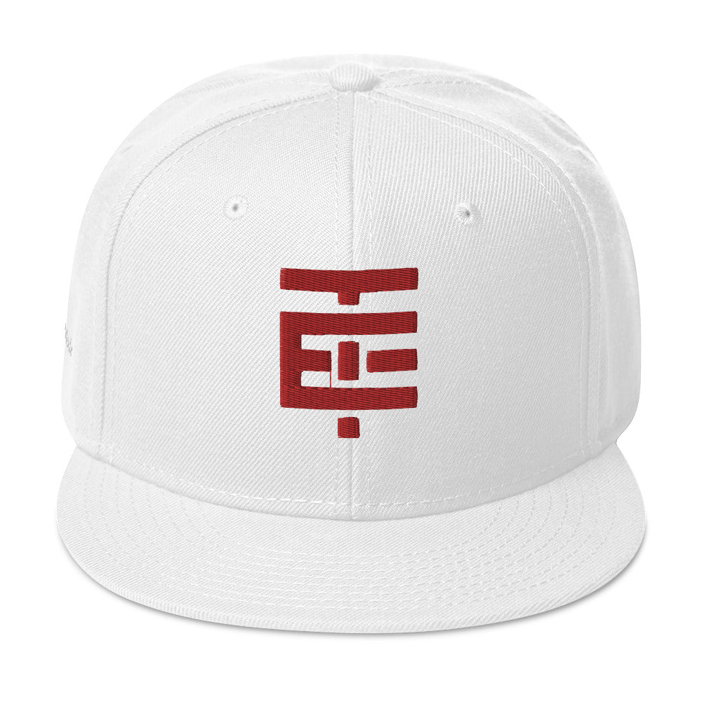 Snapback Temach Hat